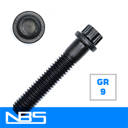 Gr.9 (Alloy) 12 Point Flange Bolts [small pack]