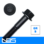 Gr.9 (Alloy) Non-Serrated Frame Bolts