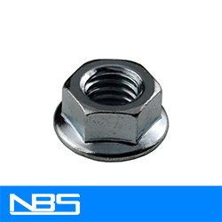 Gr.2 Serrated Flange Nuts