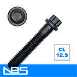 Cl.12.9 12 Point Flange Bolts