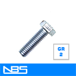 307A Hex Tap Bolts