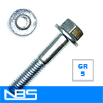 Gr.5 Non-Serrated Frame Bolts